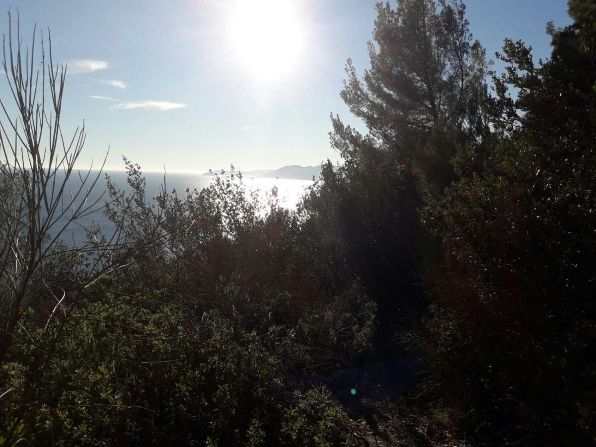 Apartment Aurora & Nicole Ideal Per Biker Con Terazza Vista Mare Parcheggio E Wi-Fi Gratuiti Pietra Ligure Exteriér fotografie